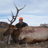 Elk