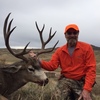 7x6 Buck