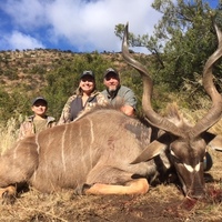South Africa Kudu