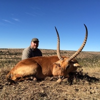 Eastern Cape Lechwe
