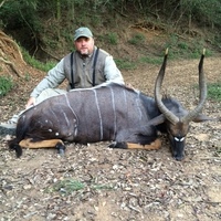 Kwazulu Natal Nyala