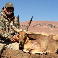 Common Reedbuck