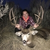 Mule Deer Meeker Ranch