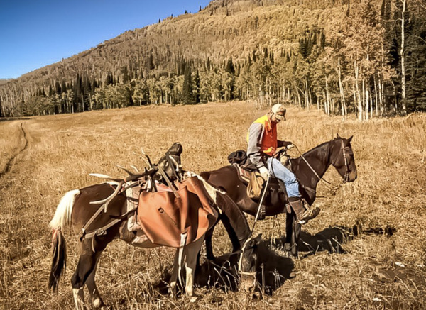 The Elk Ranch