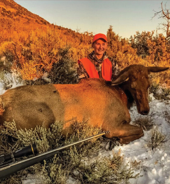 Cow Elk
