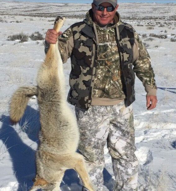 Coyote/Prairie Dog