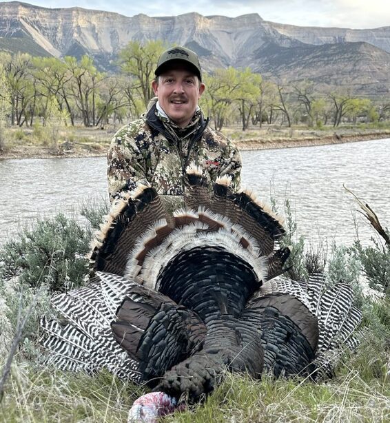 Merriam Turkey Colorado